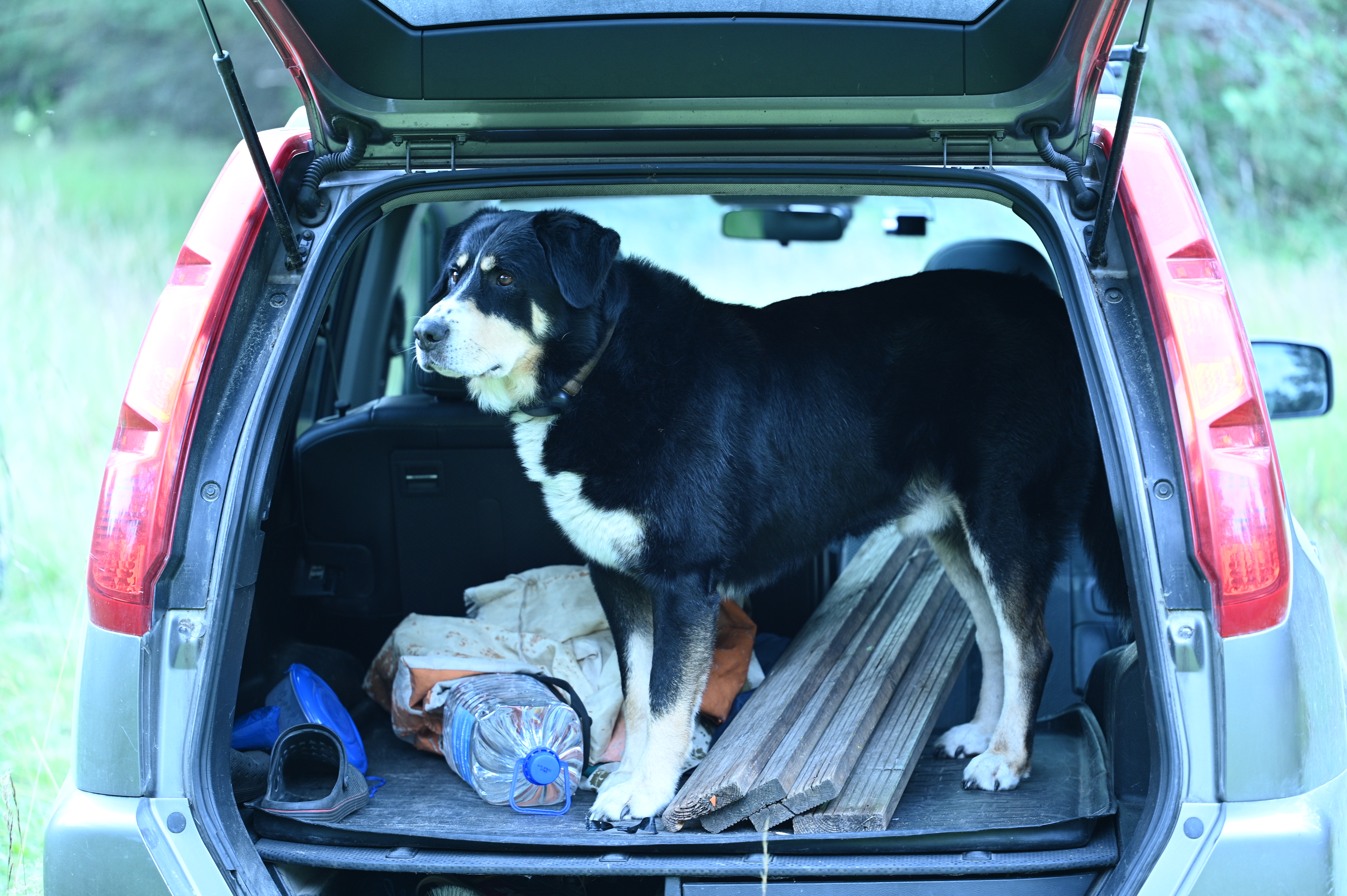 2025/07/09-14 - trip/DSC_0080.JPG